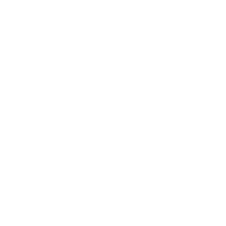 CV